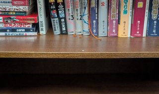 藤子不二雄 愛蔵版 まとめ T・Pぼん SF短編 他